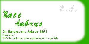mate ambrus business card